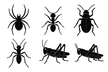 Collection of black silhouette icons representing various insects including spider, ant, beetle, and grasshopper in a minimalist style