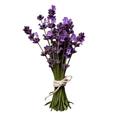 Obraz premium Tied Bundle of Fresh Lavender Sprigs with Violet Flowers, Isolated on Transparent Background