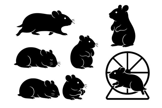Various silhouettes depicting playful and active hamsters in different poses and activities