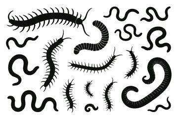 Distinct icon set featuring various centipedes and worms showcasing different styles and shapes in black silhouette on a white background