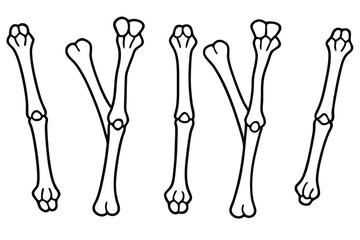 Carpals Xray Study Line art