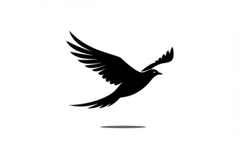 Obraz premium Silhouette of a bird in flight