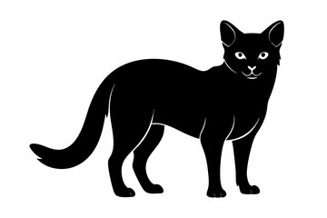 sand cat sihouette black vector