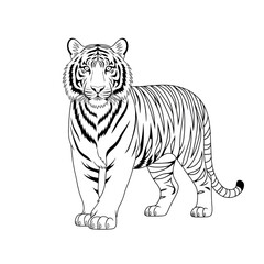 ‎A black and white tiger line art of a coloring page
