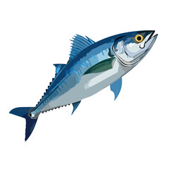 an ultra realistic photo of a mackerel isolated on white background