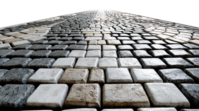 Paved Path's Journey: A captivating shot that focuses on the textured blocks that compose a paved path.