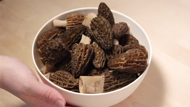 Unrecognizable housewife turns bowl of fresh mushrooms with hand. Delicacy morel mushrooms are prepared for cooking. Rare delicacy true morels in kitchen.