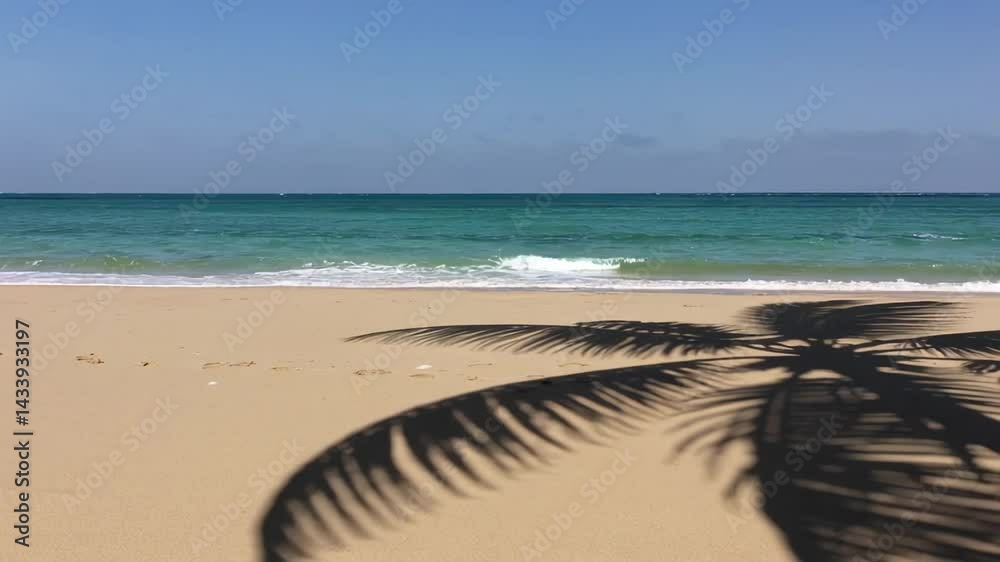 Poster sunlight casting palm tree shadow on golden sandy beach, gentle waves lapping shoreline, creating pe