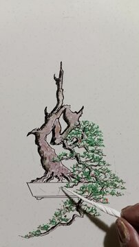 bonsai sketch drawing with leaves from paper