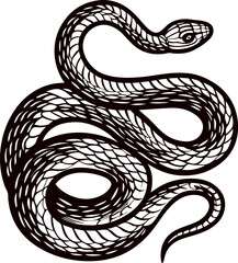 Fototapeta premium Intricate black and white line art of a coiled snake with detailed scales.