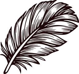 Obraz premium Intricate black and white feather drawing on white background.