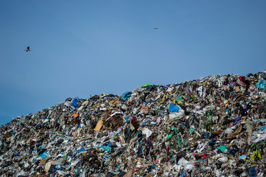 A sprawling landfill is filled with various types of garbage, reflecting the environmental challenges of waste management and pollution