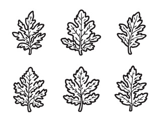 Alder leaf line art minimalist vector style for modern decor