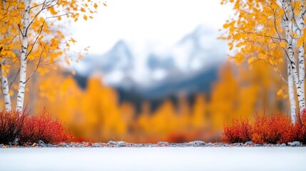 Autumnal forest scene with snow