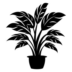 Monochrome indoor plant in pot with vibrant leaves vector illustration