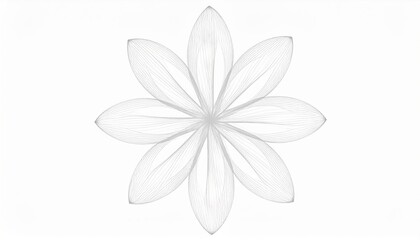 Fototapeta premium Delicate floral design nature graphic art minimalist style symmetrical viewpoint modern aesthetic