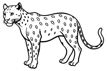  leopard  vector Illustration.