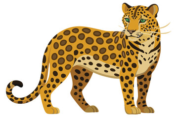  leopard  vector Illustration.