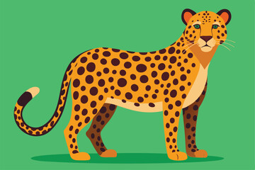  leopard  vector Illustration.