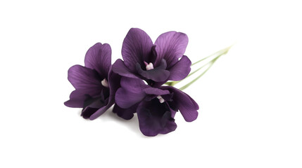 Obraz premium Purple flowers with green stems