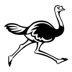 Ostrich Vector Art Design