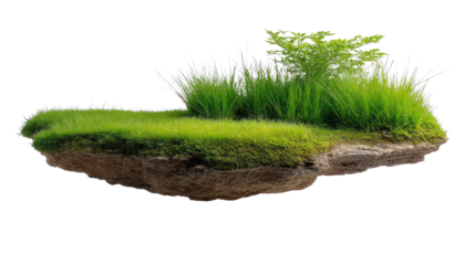 Floating Island of Serenity: An isolated patch of verdant land, afloat in the expanse, showcasing a vibrant ecosystem with lush green grass and thriving vegetation.