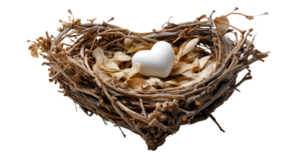 Nest of Love: A heart-shaped nest cradles a single, white heart, symbolizing love, care, and the beauty of nature's embrace. The scene evokes tenderness and serenity.