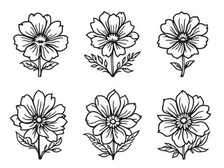 Bachelor’s Button line art floral illustration for digital design projects
