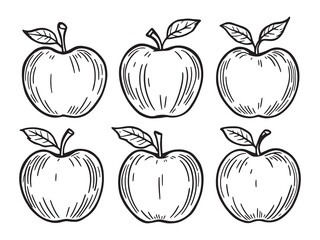 Balsam apple line art botanical drawing perfect for wall decor