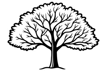 Vector Line Art Tree Illustration – Minimal Tree Clipart, Logo Icon Design on White Background