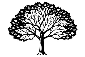 Naklejka premium Vector Line Art Tree Illustration – Minimal Tree Clipart, Logo Icon Design on White Background