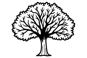 Naklejka premium Vector Line Art Tree Illustration – Minimal Tree Clipart, Logo Icon Design on White Background