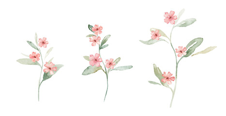 Watercolor set of pink flowers spots and green leaves. Hand drawn illustration buds on isolated white background. Soft pastel iridescent watercolors.