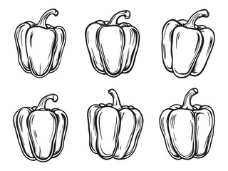 Bell pepper line art vector illustration for food design