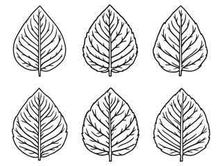 Obraz premium Betel leaf hand drawn botanical line art vector