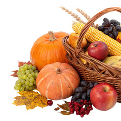 Abundant Autumn Harvest isolated on transparent background  

