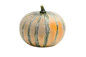 A single cantaloupe with green stripes and a stem on a black background in a studio setting