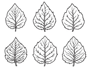 Obraz premium Detailed Cassava Root and Leaf Line Art Illustration