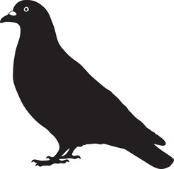 Pigeon standing on ground in minimalist black and white continuous line sketch showing calm urban bird posture on clean white background for simplicity and stillness