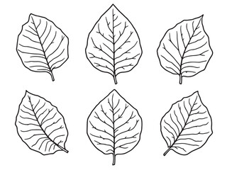 Detailed Line Art of Bougainvillea Leaf in Elegant Design 