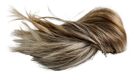 Flowing Blonde Hair: A luscious clump of blonde hair, with highlights, is captured in motion, seemingly flying through the air. The strands are delicately spread out.