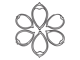 Detailed Line Art of Cowpeas in Organic Garden