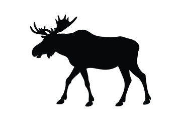 Obraz premium Majestic Moose Silhouette in the Wild