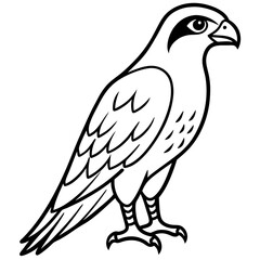 Sleek Falcon Outline Vector Illustration