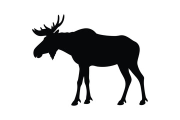 Obraz premium Majestic Moose Silhouette in the Wild