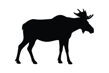 Majestic Moose Silhouette in the Wild