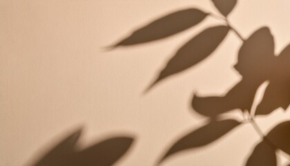 Fototapeta premium Captivating shadow play of leaves indoor setting artistic photograph minimalist environment close-up viewpoint nature's beauty
