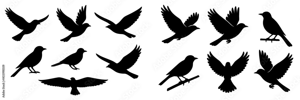 Fototapete various silhouettes of birds in different poses and flight positions displayed in a graphic design f