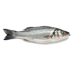 Fototapeta premium Whole Sea Bass (Ikan Kakap) Isolated