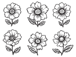 Elegant Cornflower Line Art Design for Creative Projects 